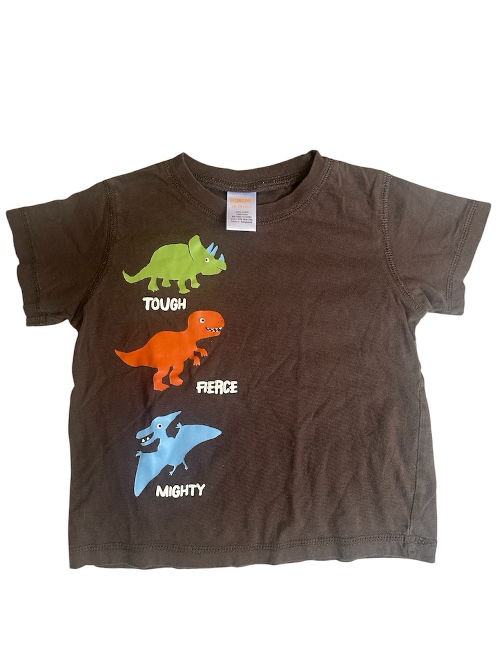 Gymboree Boys Brown Dinosaur Graphic Tee Tough Fierce Mighty Size 18-24 months